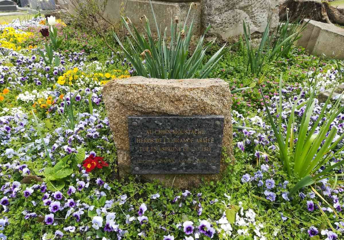 Plaque dédiée à Moustache