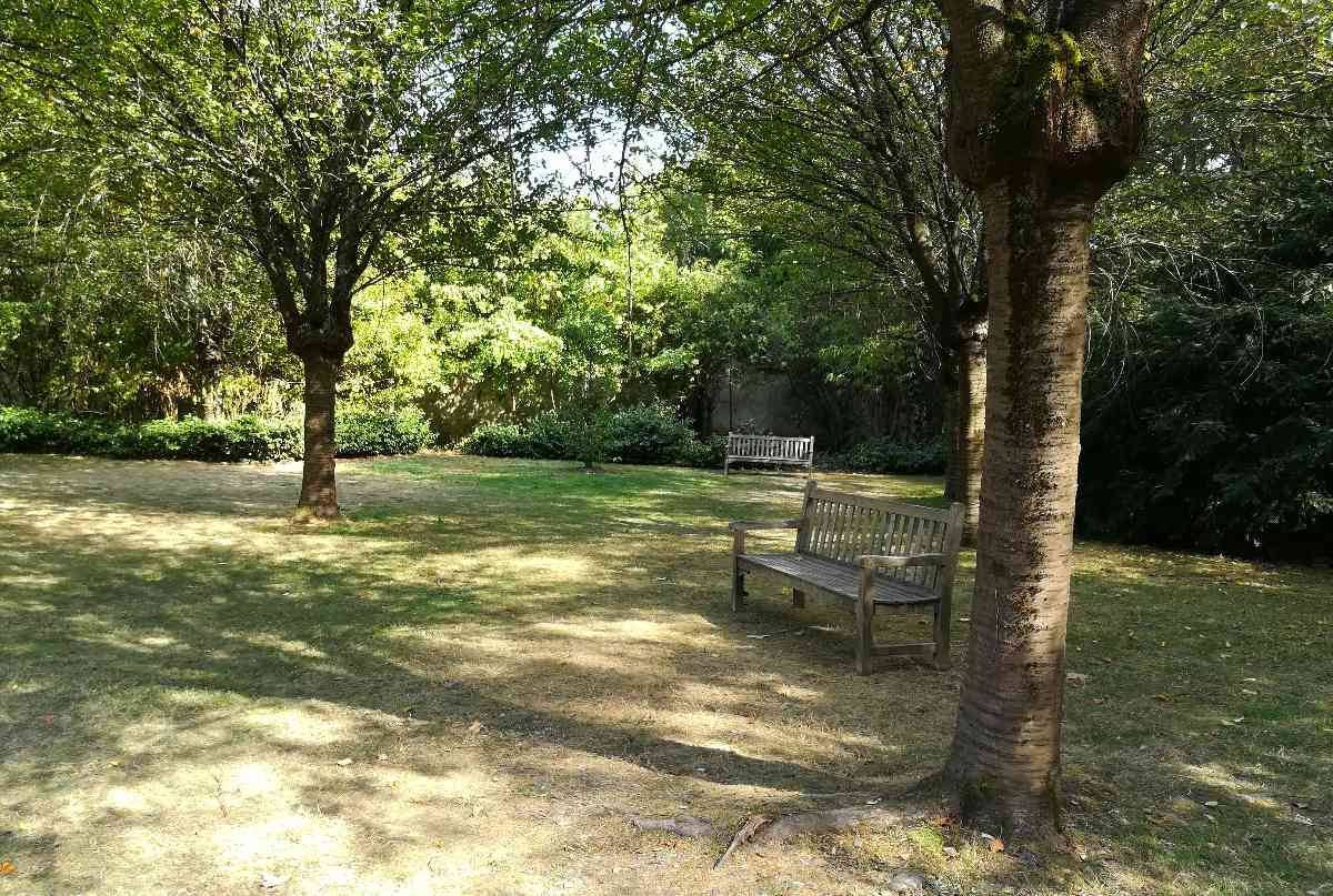 Le jardin de l'orangerie