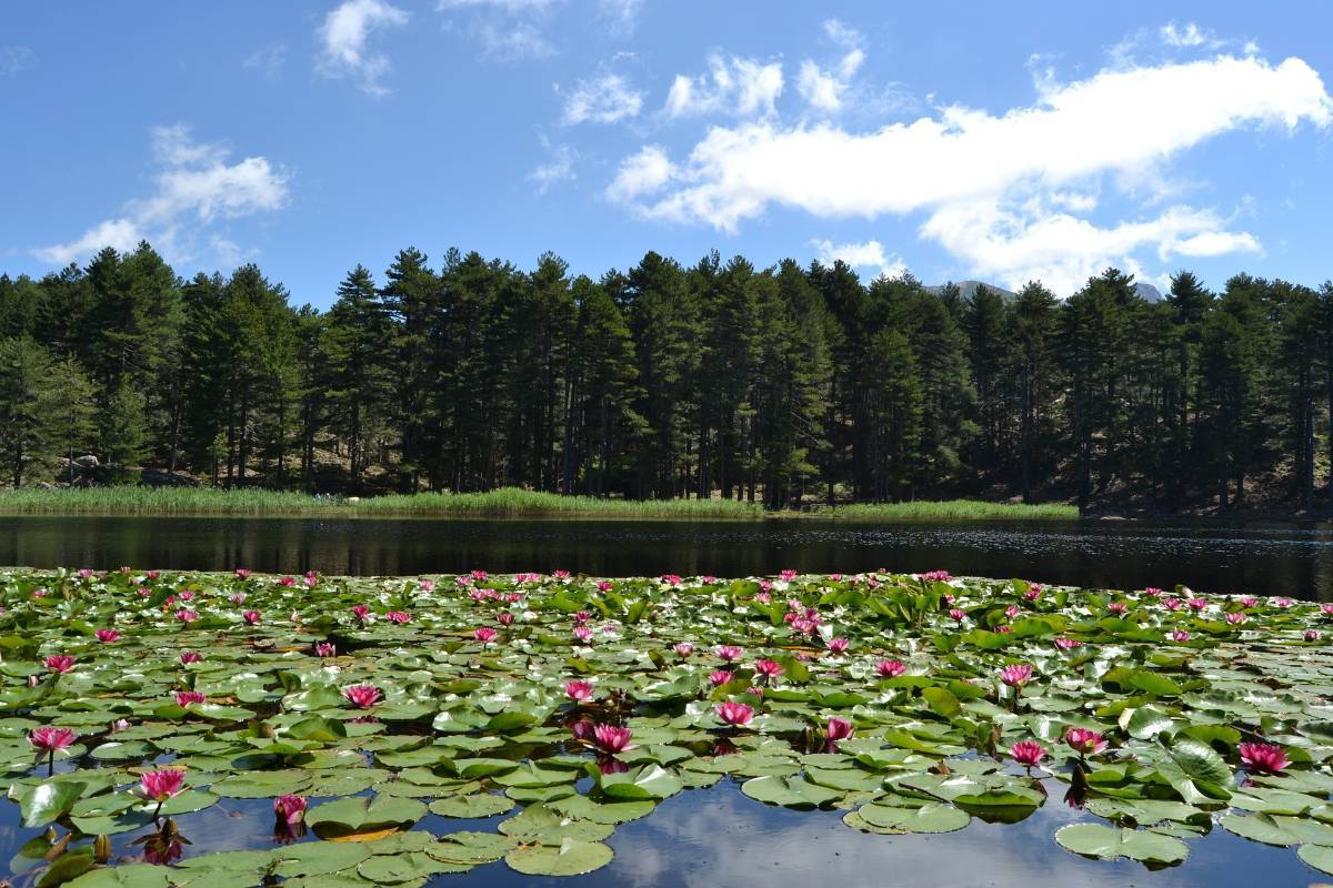 Lac de Creno