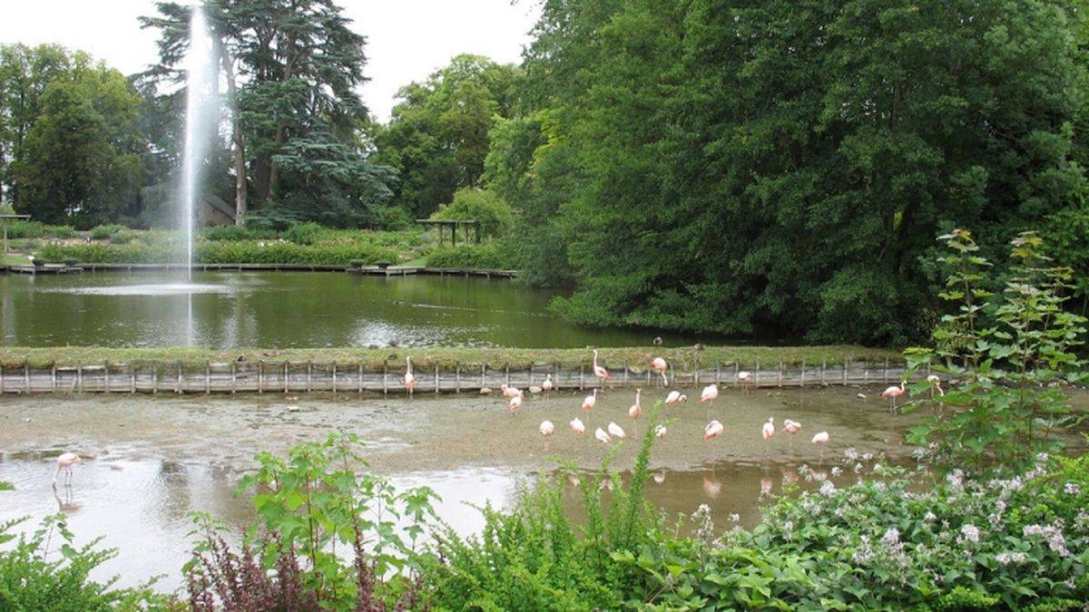 Le parc de la Source