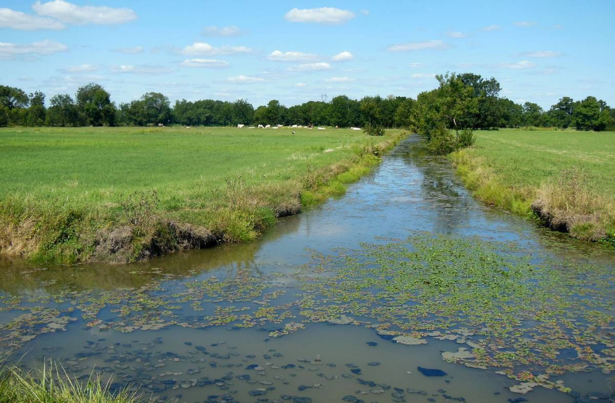 Marais Audubon, Couëron