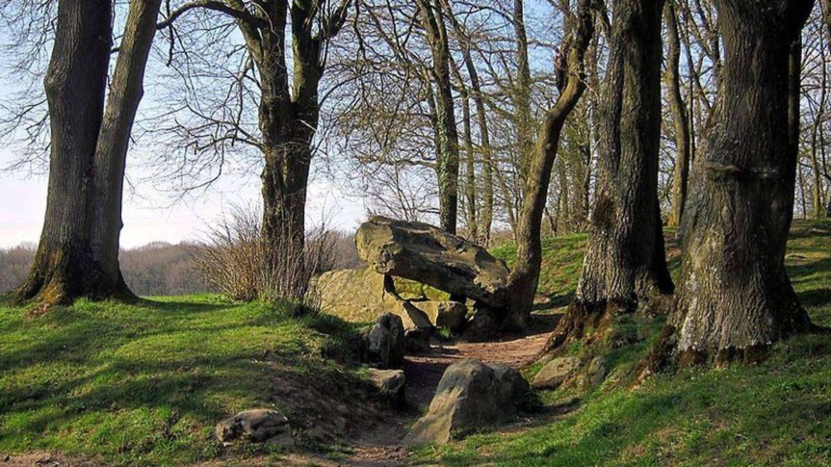 Les bois autour d'Olhain