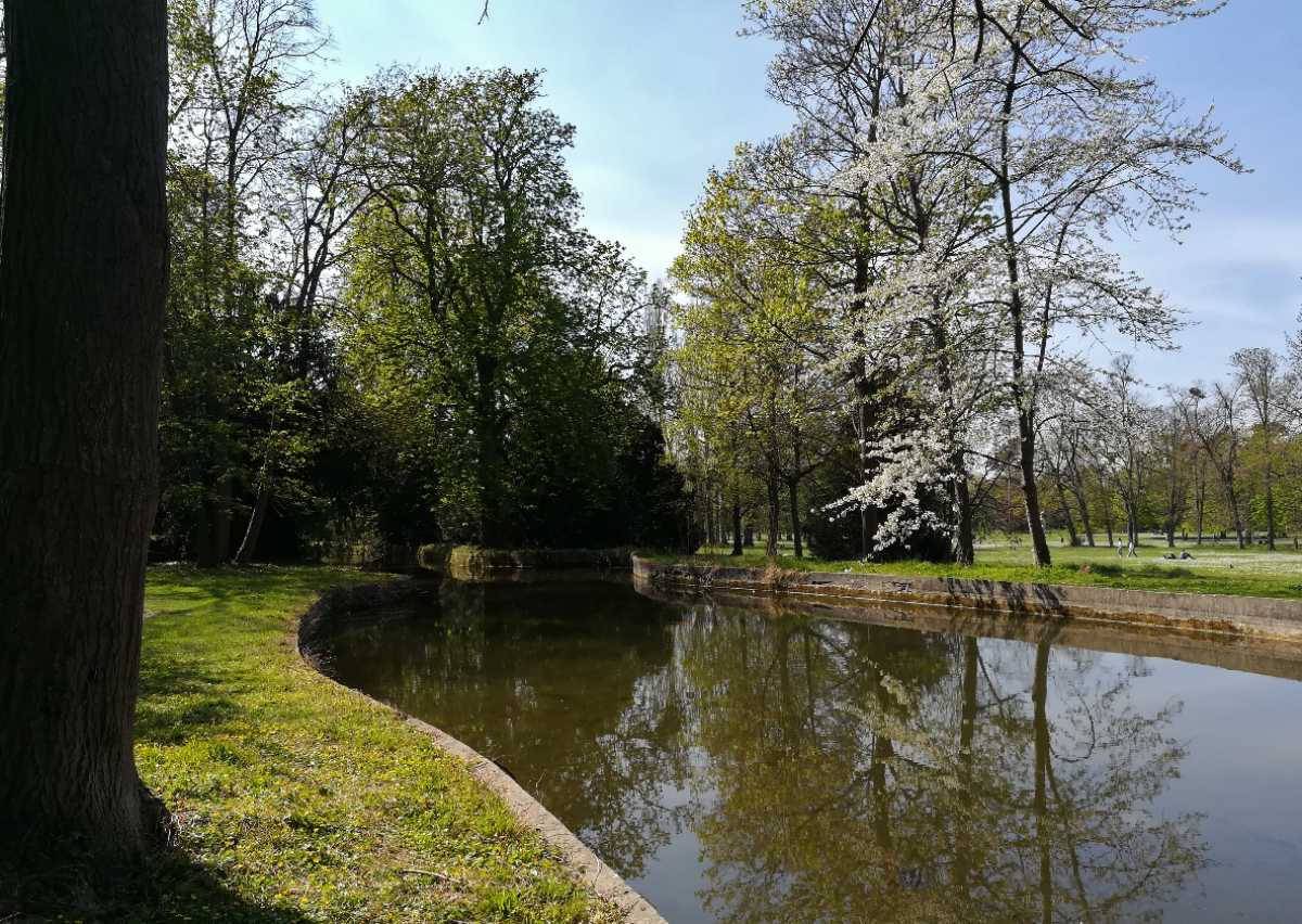 Bois-Préau : une pièce d'eau