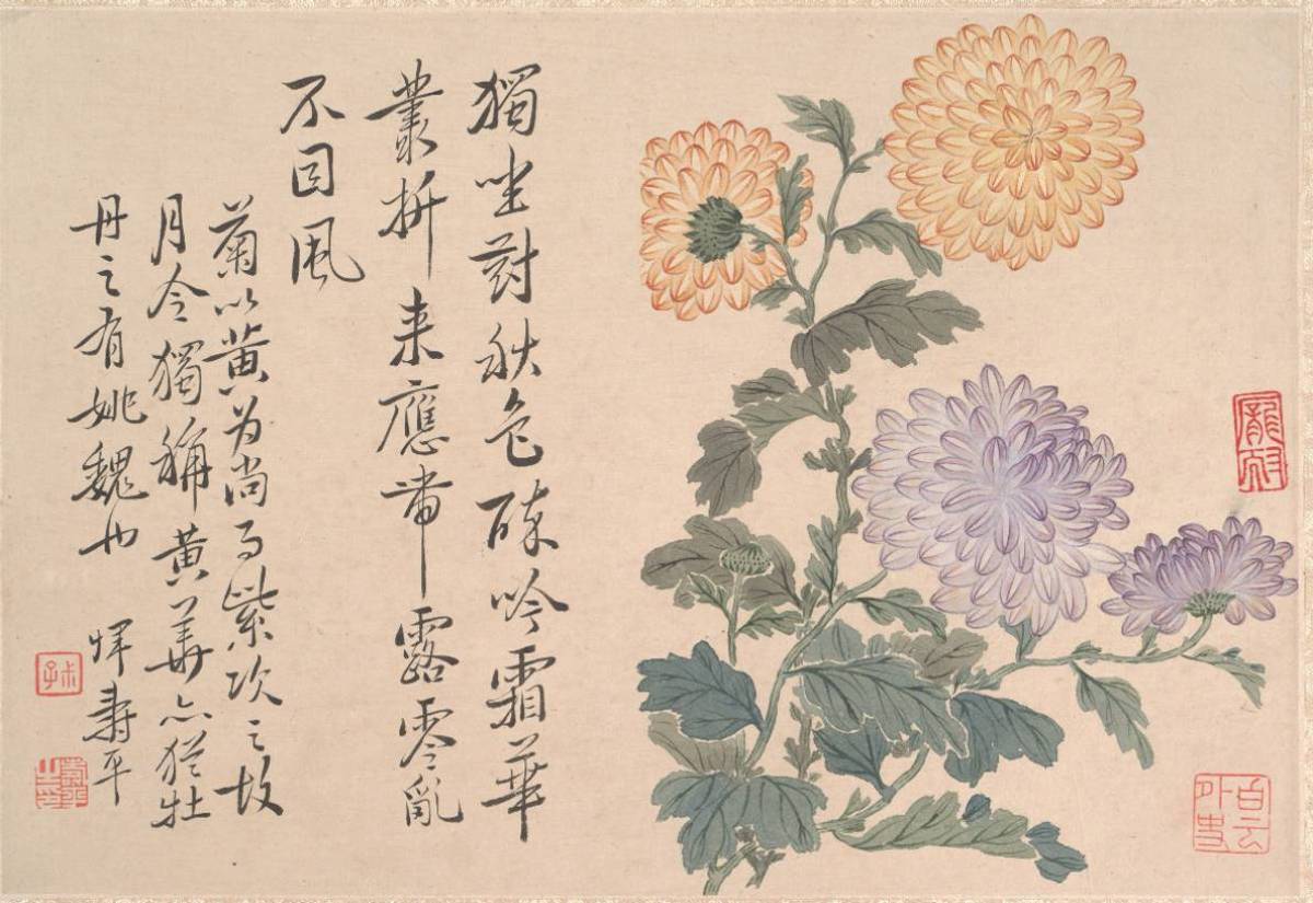 Chrysanthèmes (anonyme, 17e-20e s)