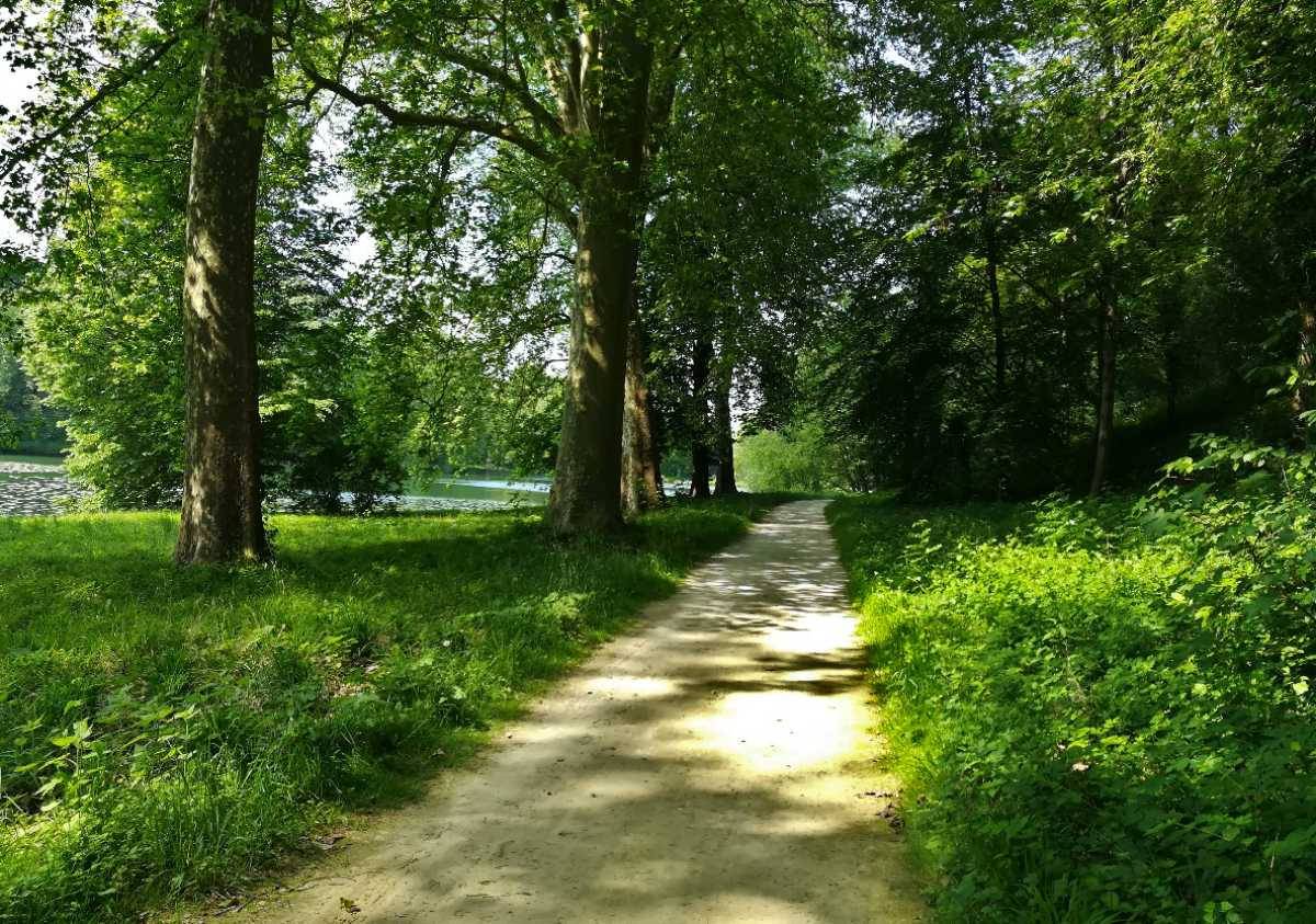 Ermenonville : le long de l'île aux Peupliers