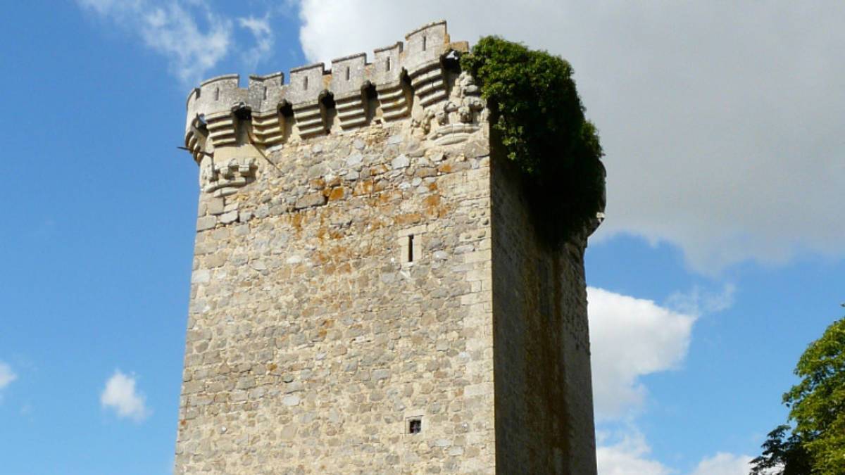 Donjon du château de Saint-Loup