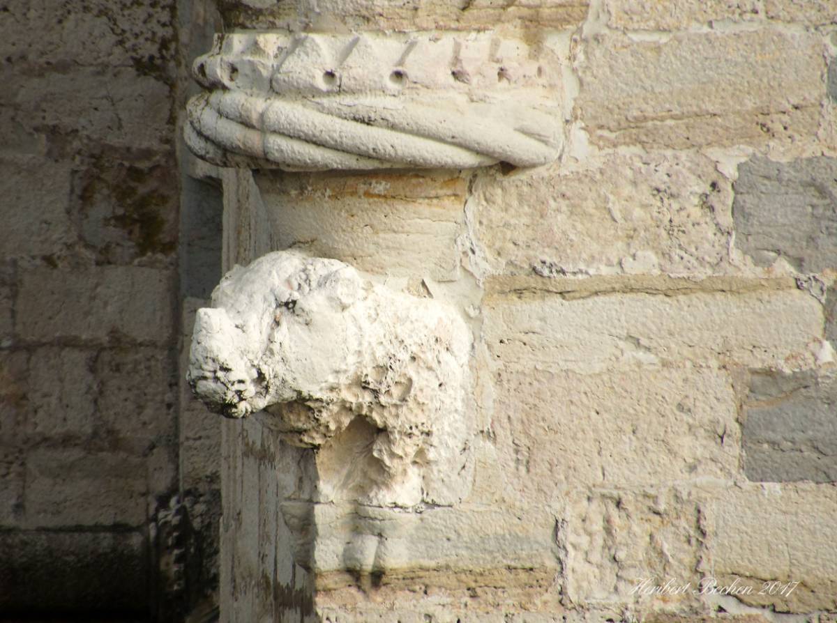 Le rhinocéros, tour de Belem