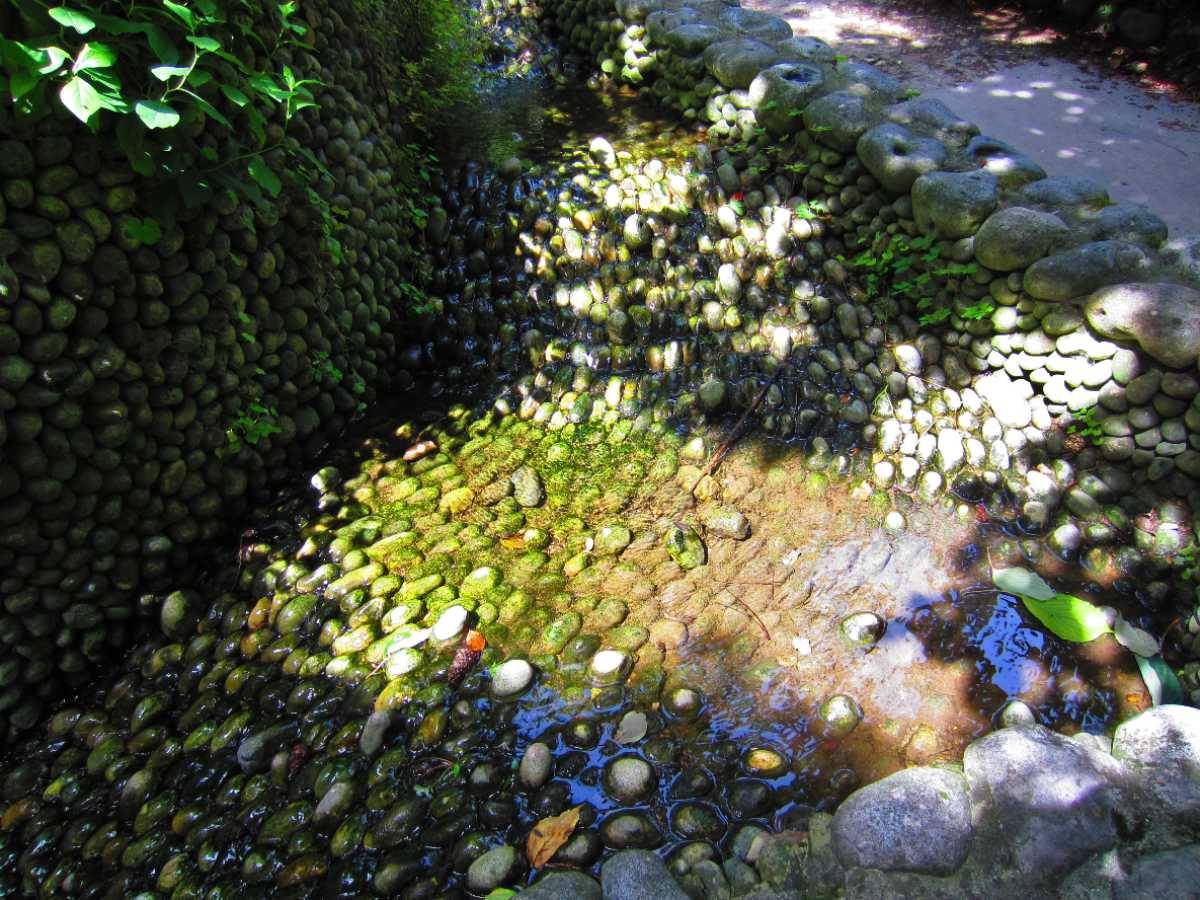 Le jardin japonais