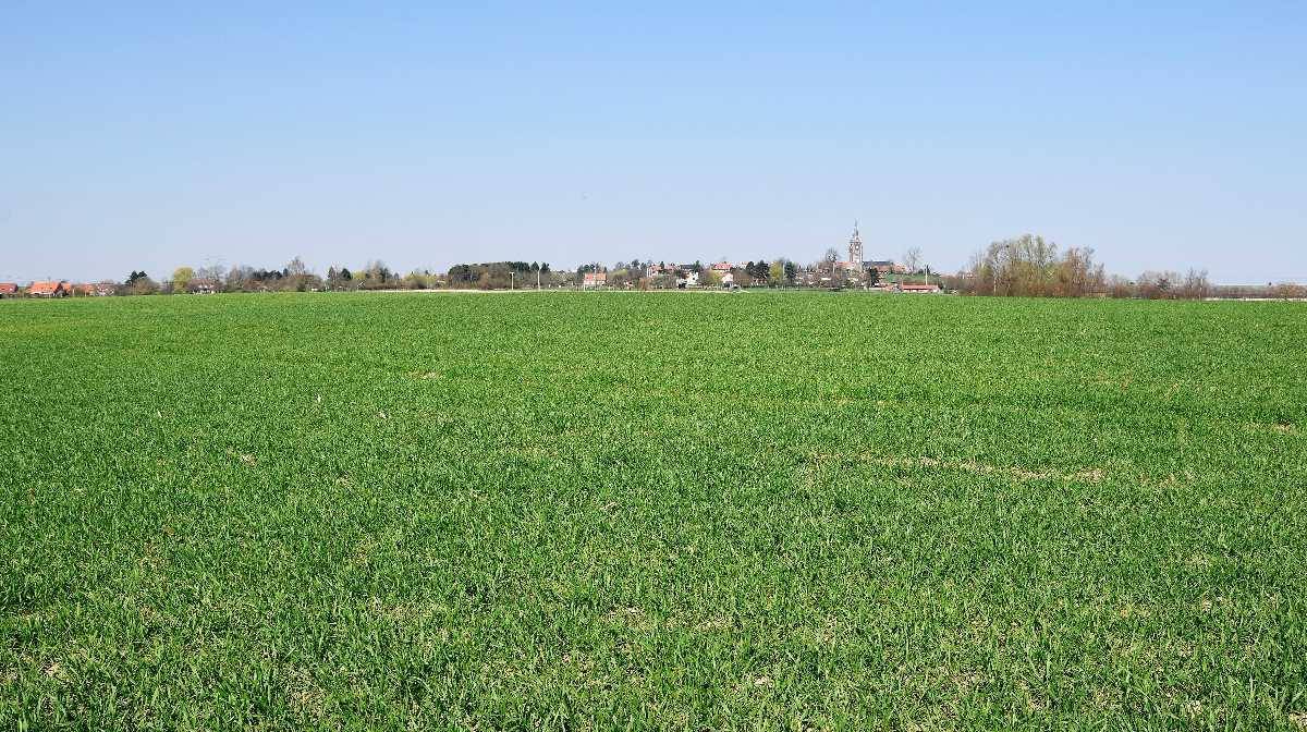 Le champ de bataille à Mons