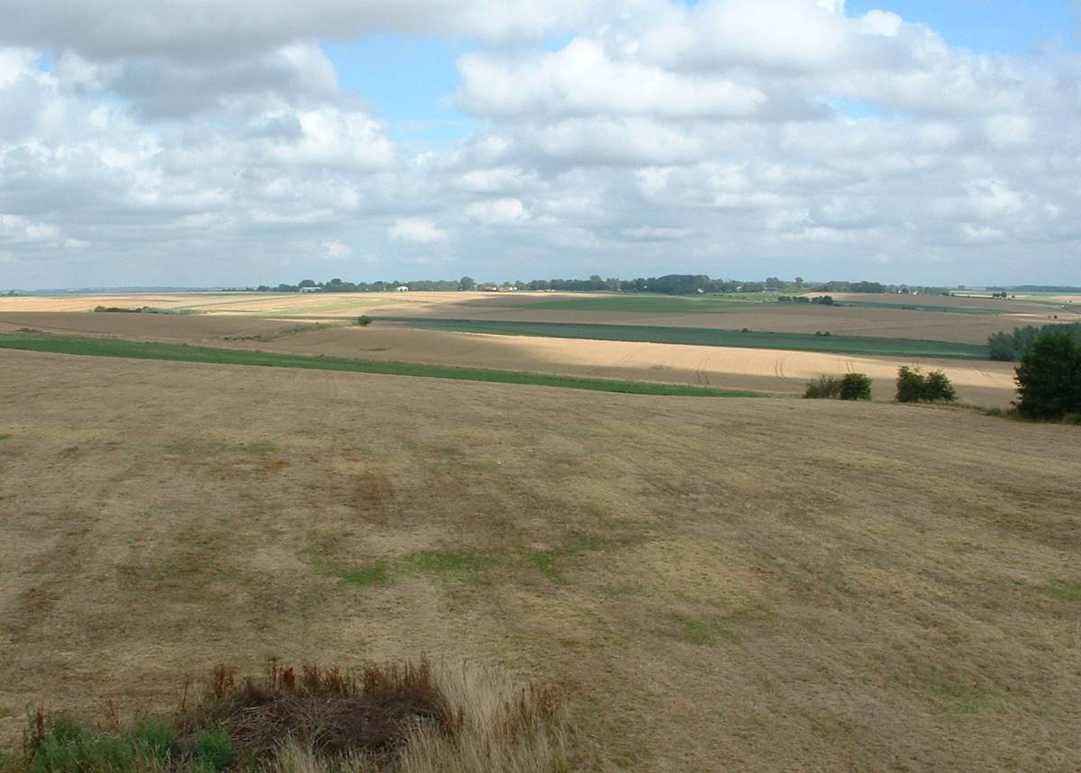 Champ de bataille de Crécy