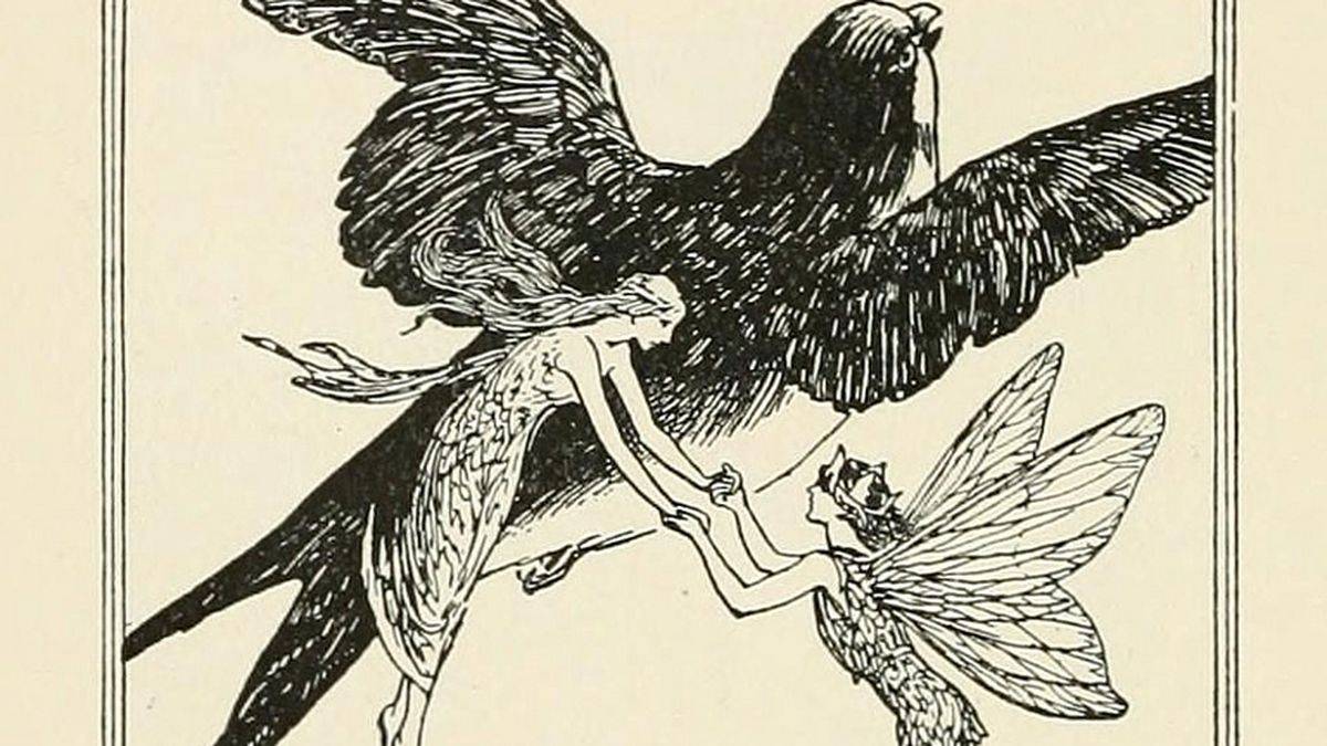 Image d'illustration