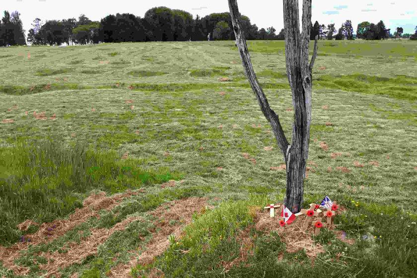 L'Arbre du danger