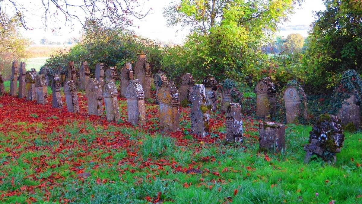 Cimetière du choléra de Servigny