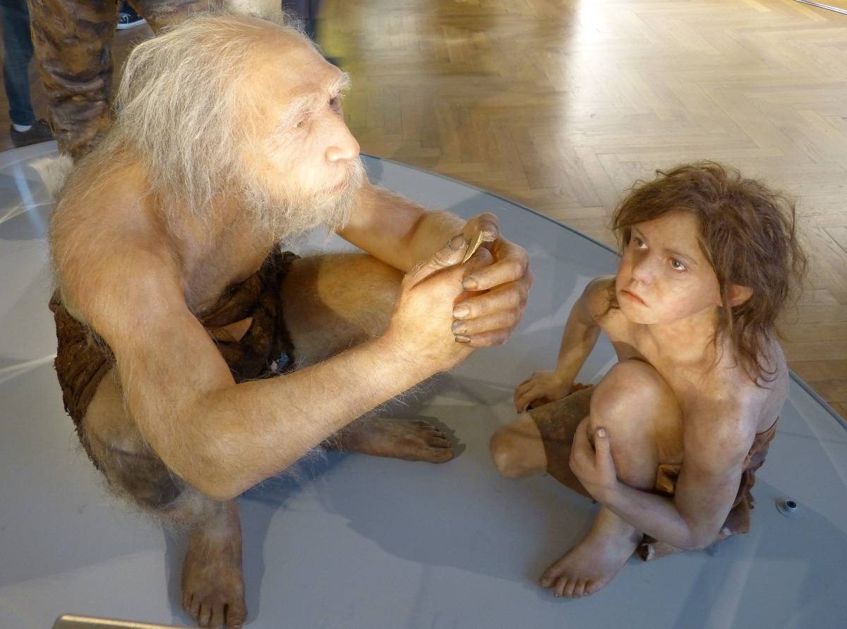 Reconstitution du vieillard de la Chapelle-aux-Saints (Naturhistorisches Museum, Vienne)