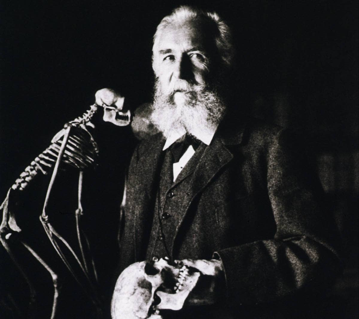 Ernst Haeckel, 1904