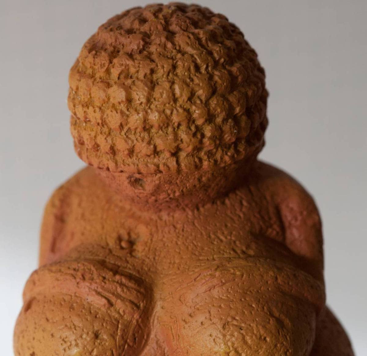 Vénus de Willendorf, détail