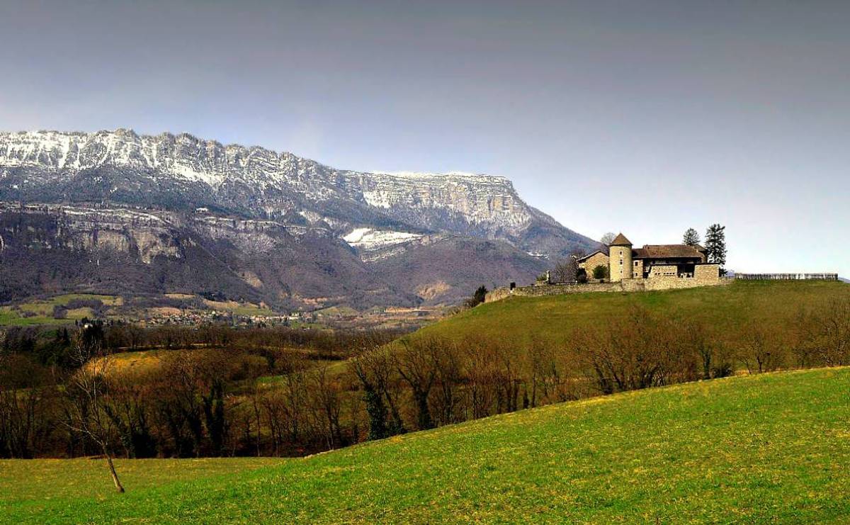 Château Bayard