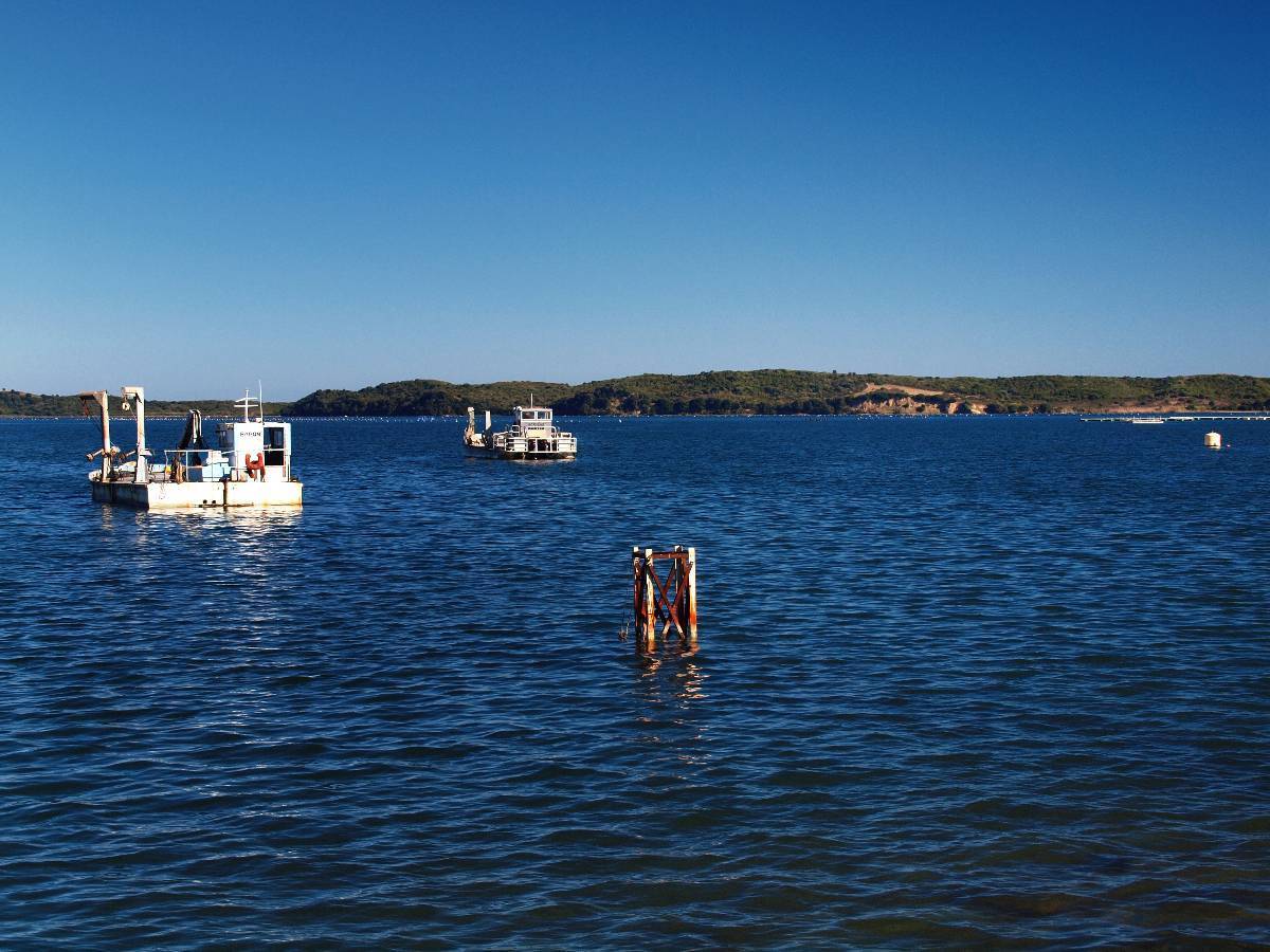 Etang de Diane