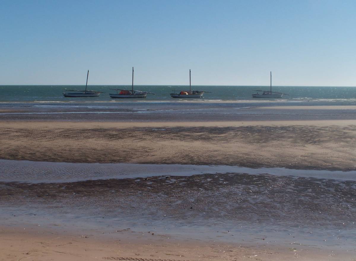 Banc d'Arguin, Mauritanie