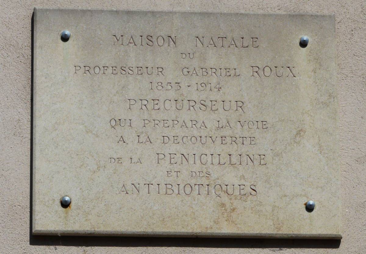 Maison natale de G. Roux : détail