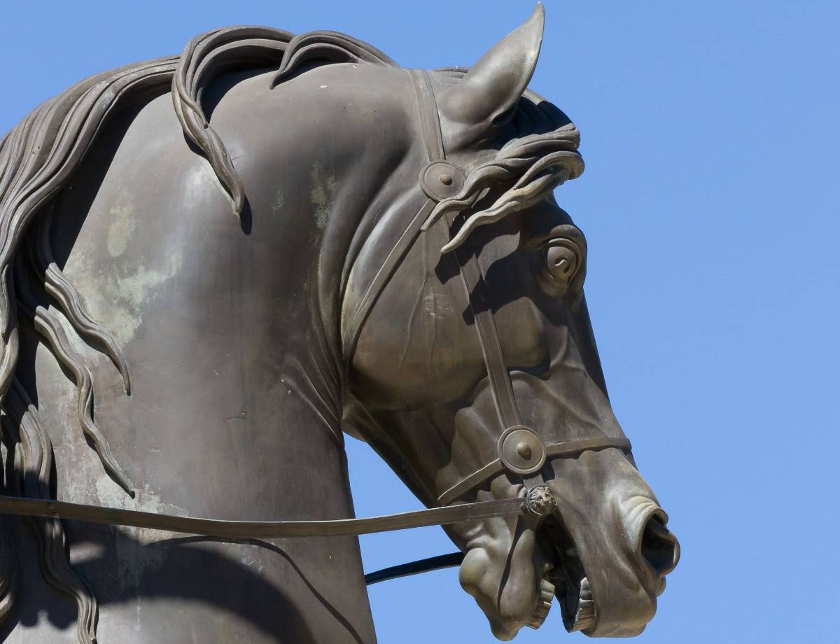 Statue de Louis XIV : détail