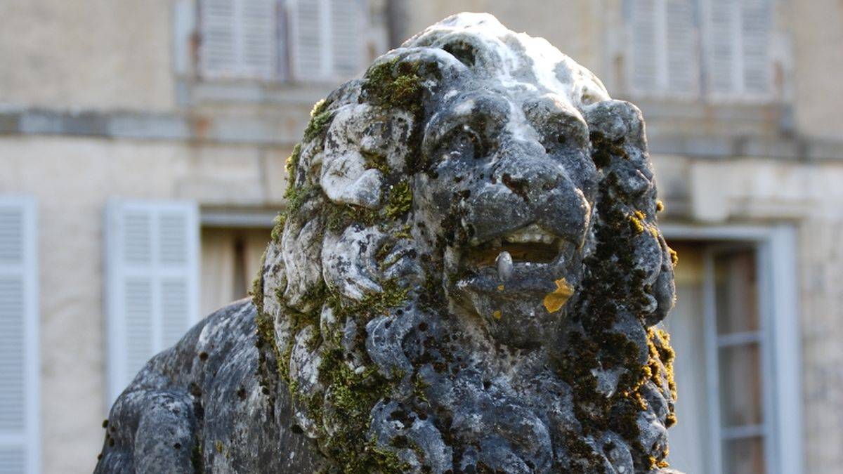 Un lion au château