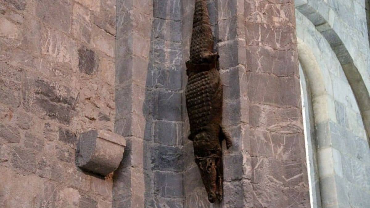 Le crocodile de Saint-Bertrand-de-Comminges