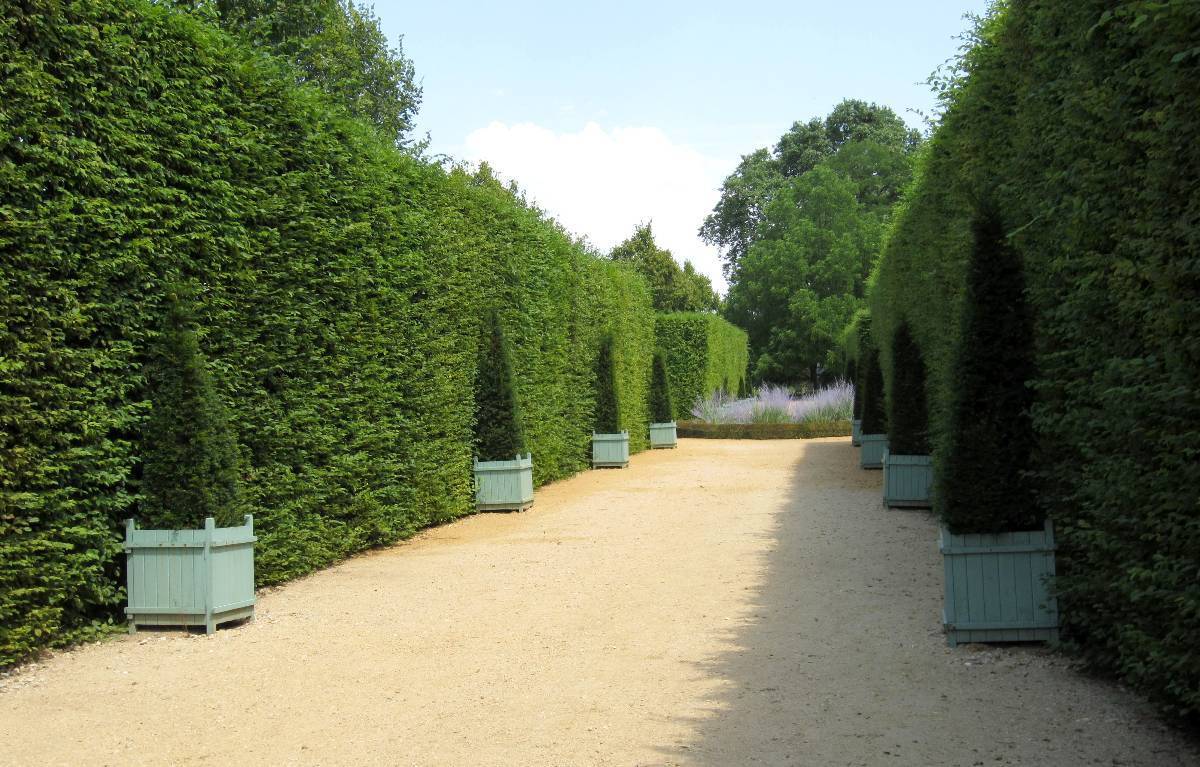 Les jardins