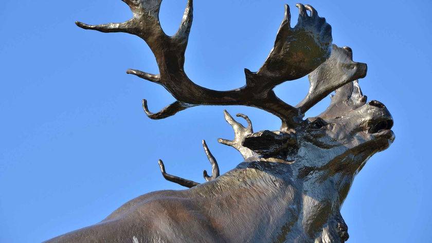 Le caribou, mémorial de Beaumont-Hamel