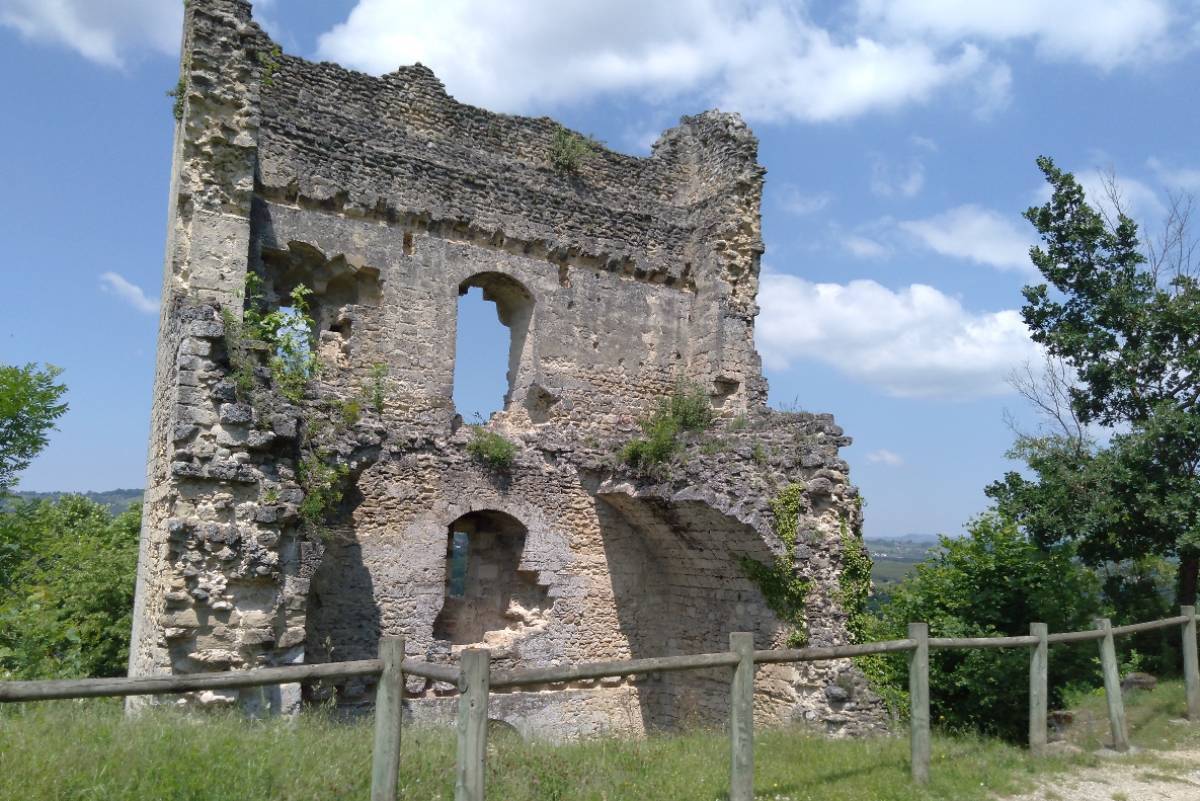 Ruines du château delphinal de Beauvoir