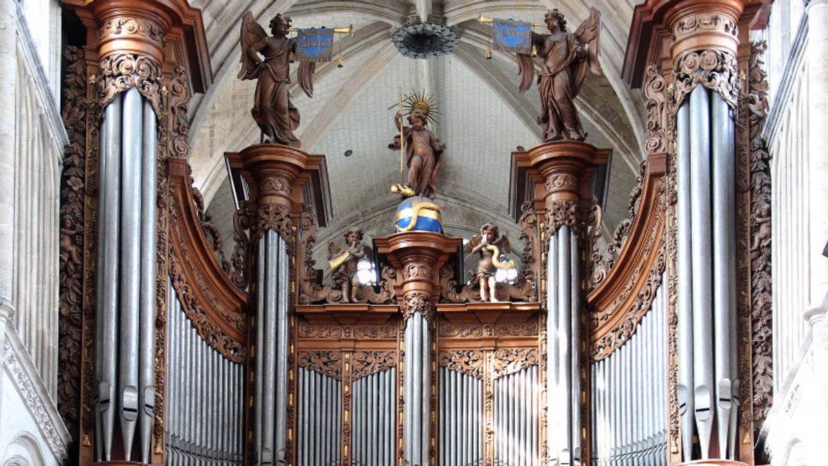 Les orgues de la cathédrale