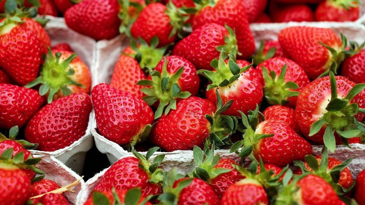 Image d'illustration : fraises