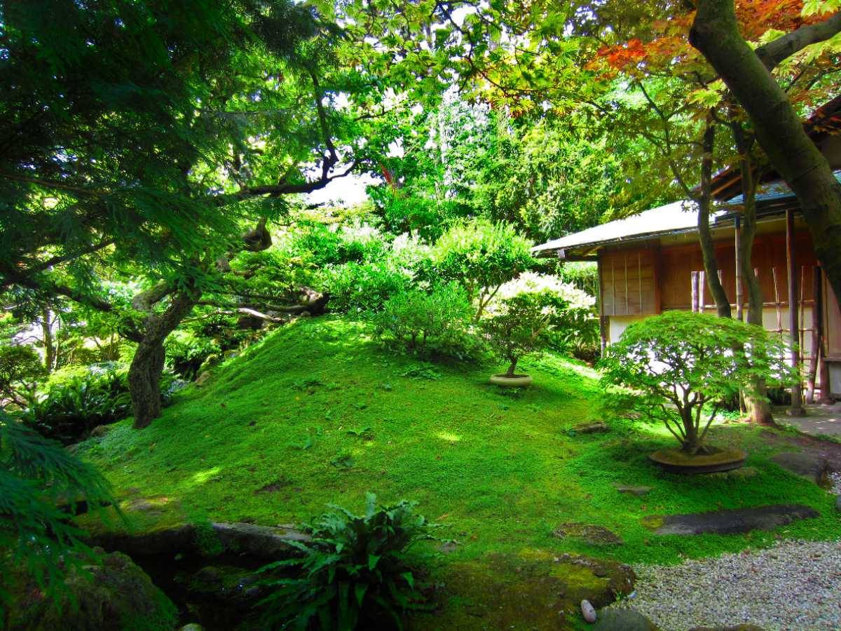 Le jardin japonais