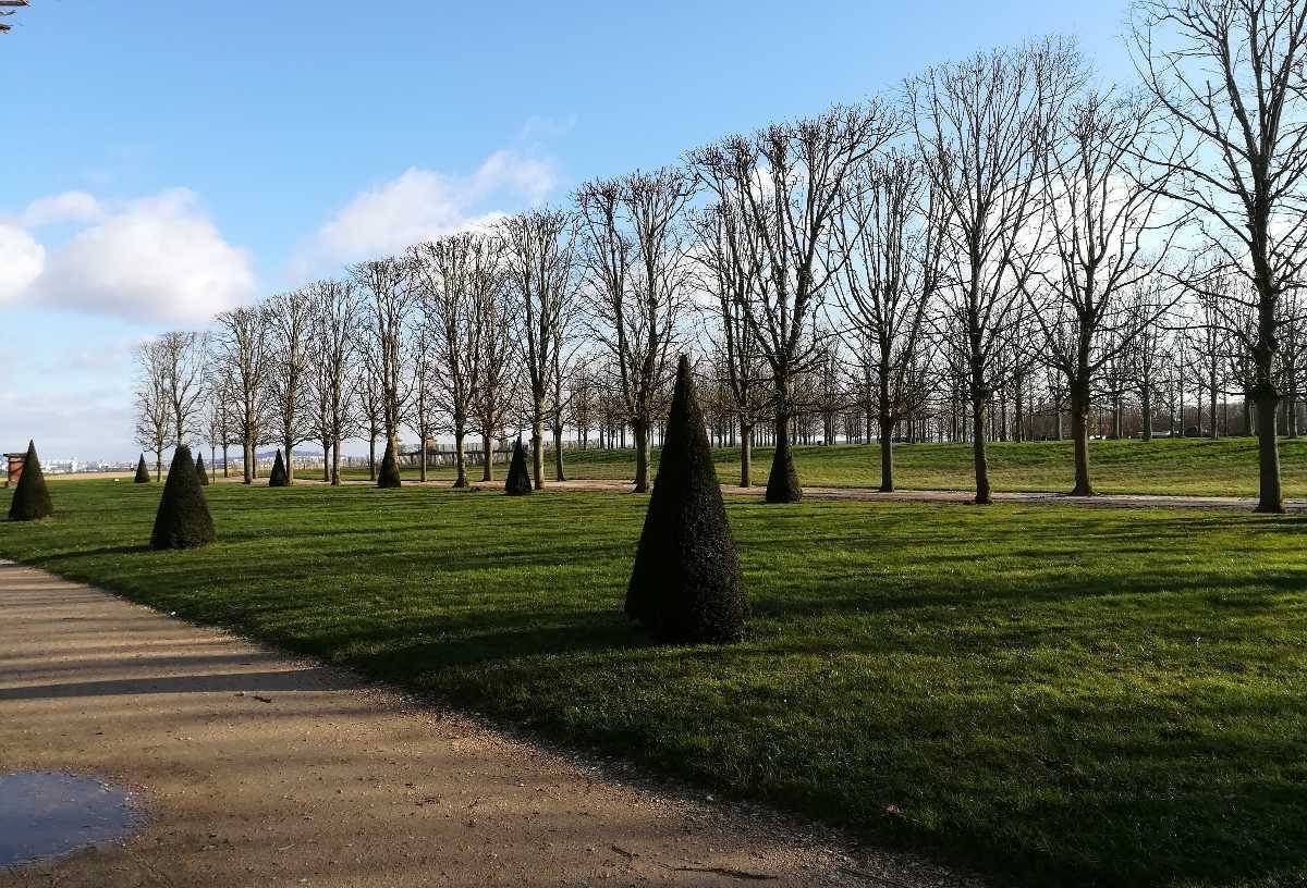 Parc du château de Saint-Germain