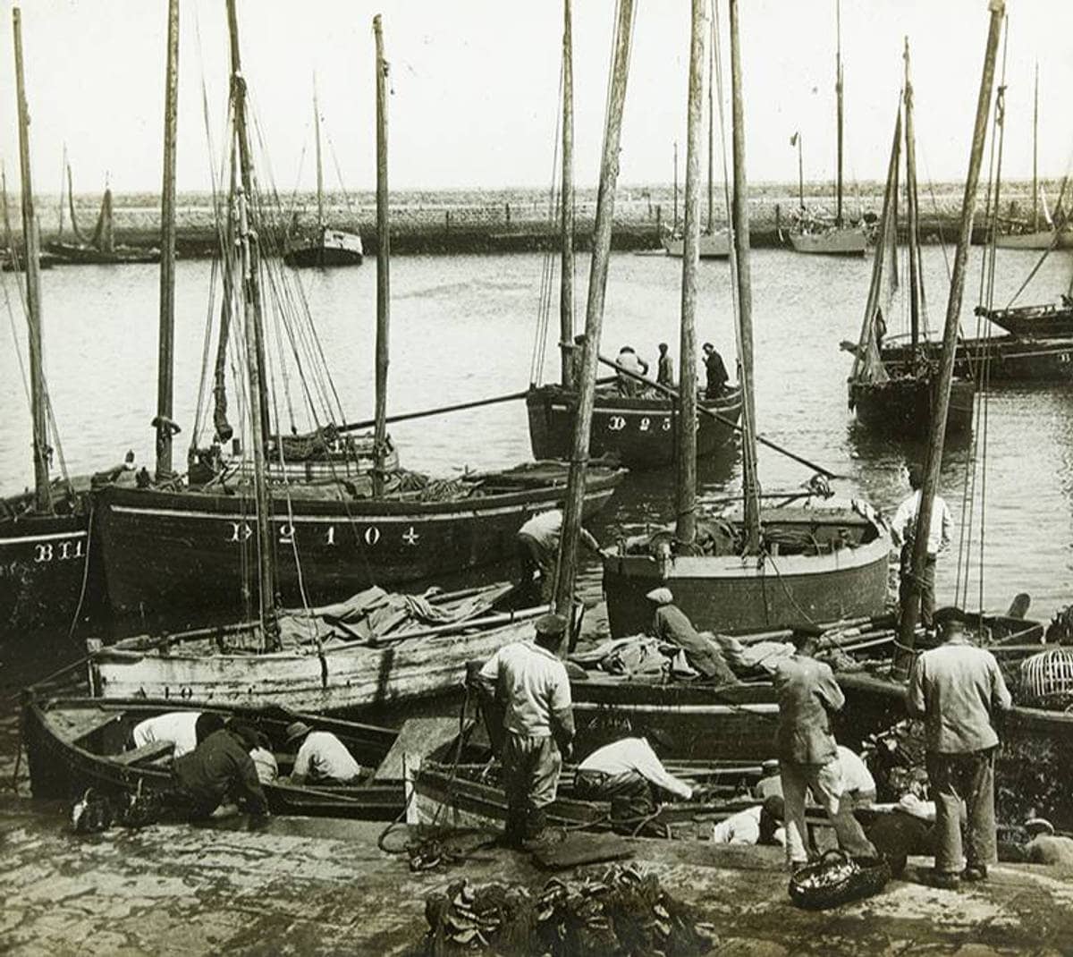 Débarquement des sardines, Douarnenez, début 20e s.