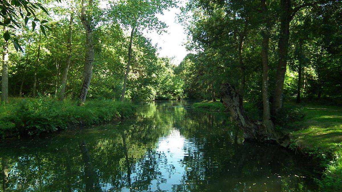 La Seugne, Pons