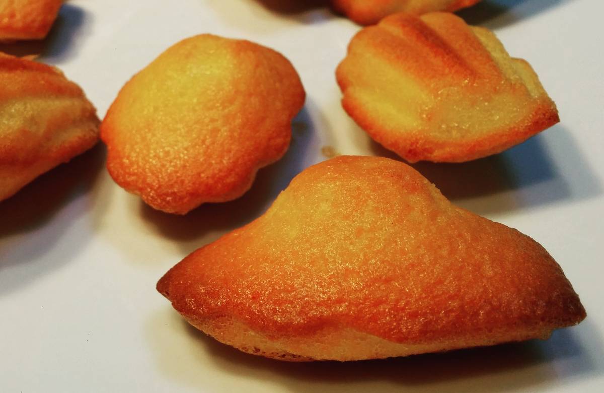 Madeleines