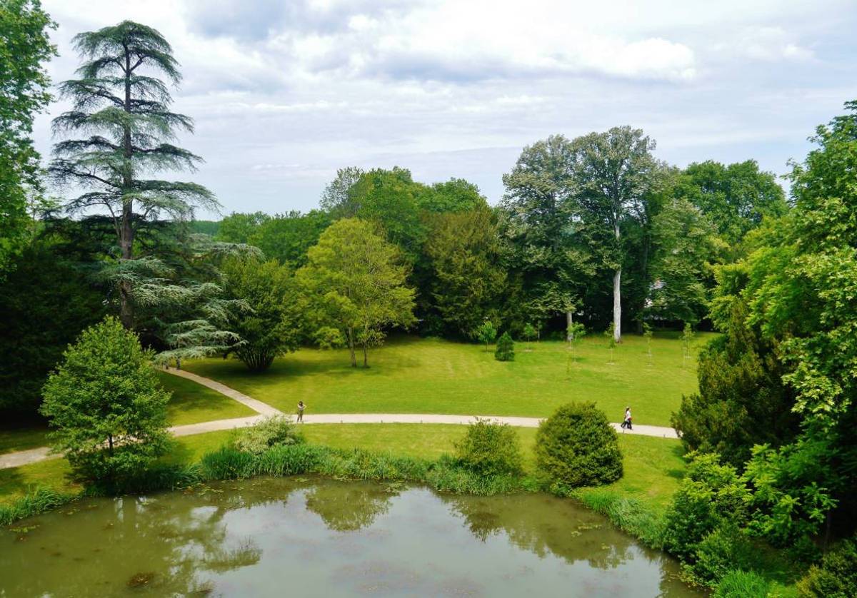 Parc du château d'Azay