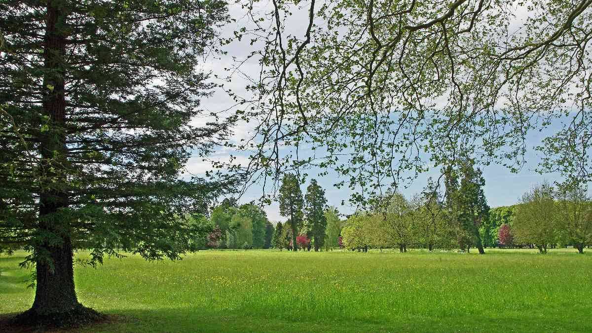 Parc du château de Richelieu