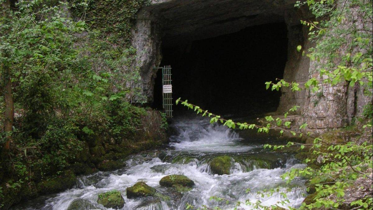 Entrée des cuves