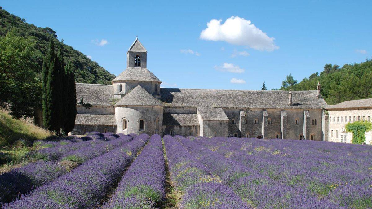 Abbaye de Sénanque