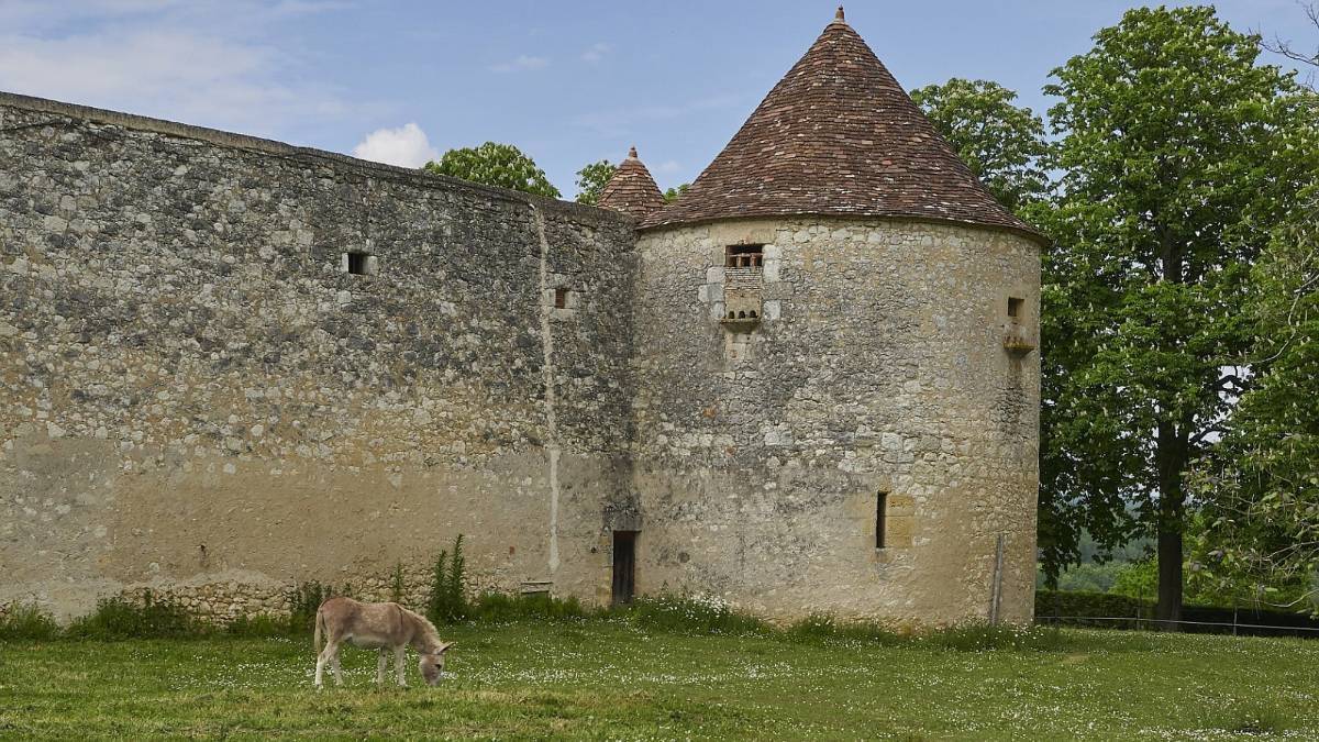 Château de Montaigne