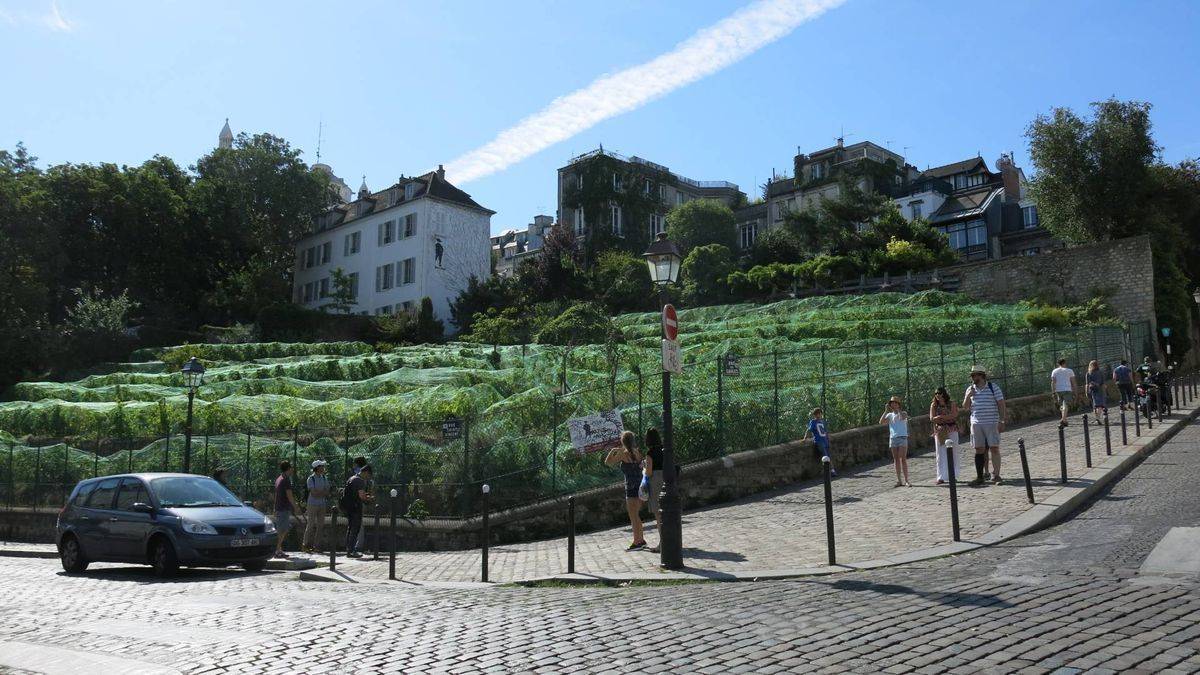 Clos Montmartre