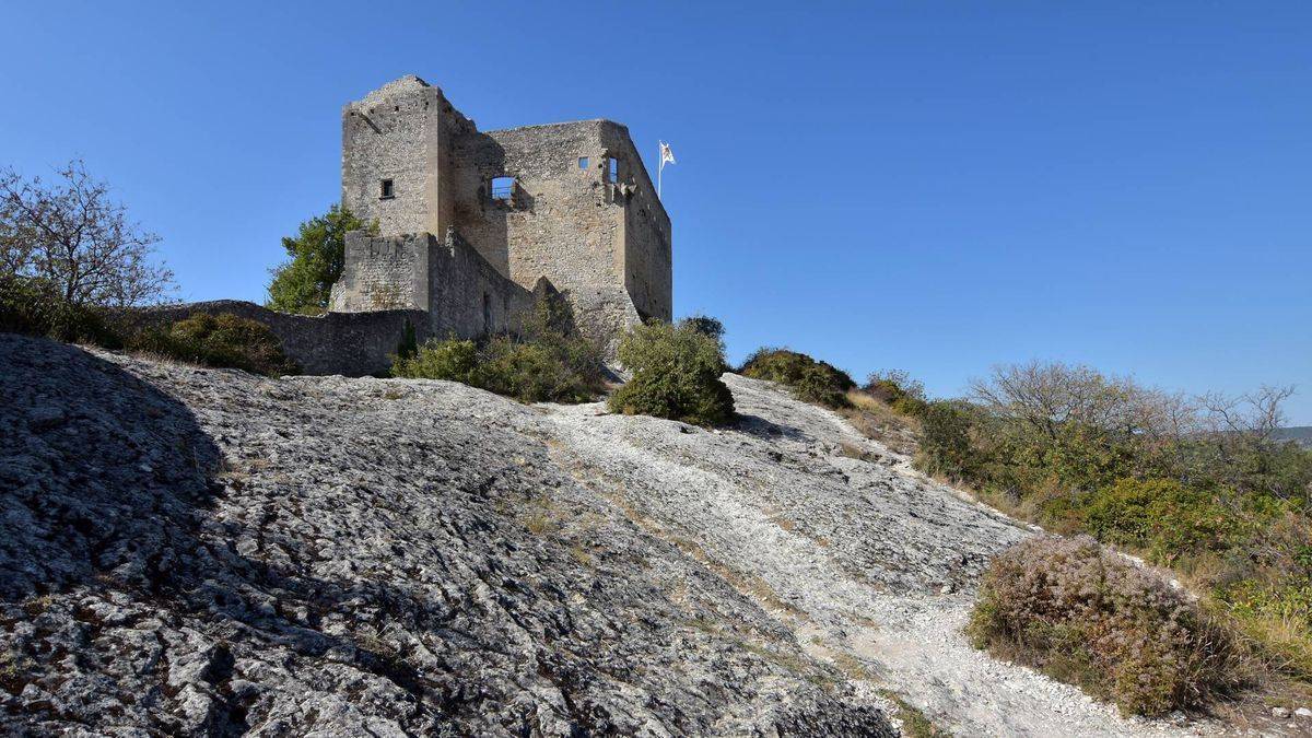 Château de Vaison