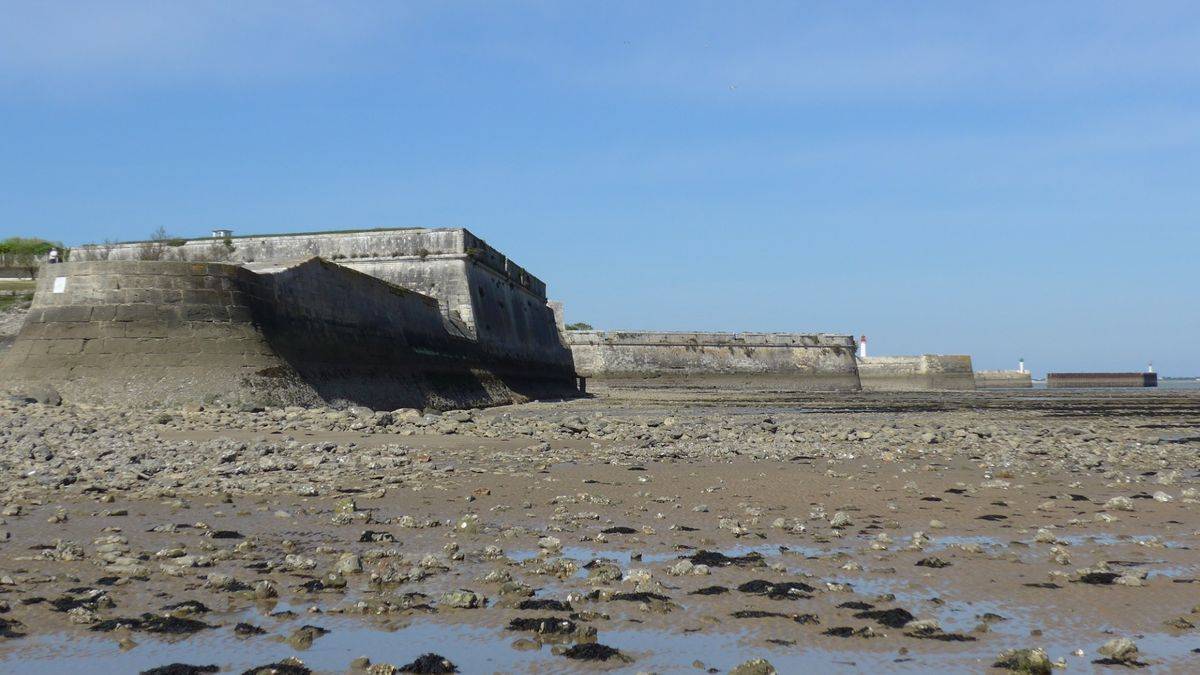 Fortifications, Saint-Martin-de-Ré