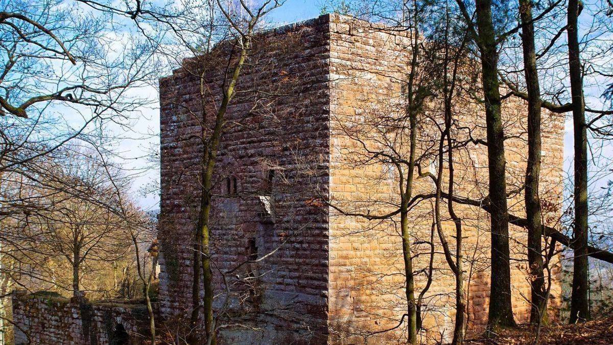 Château du Wasenbourg