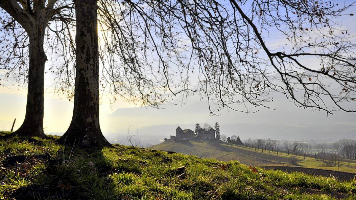 Château Bayard