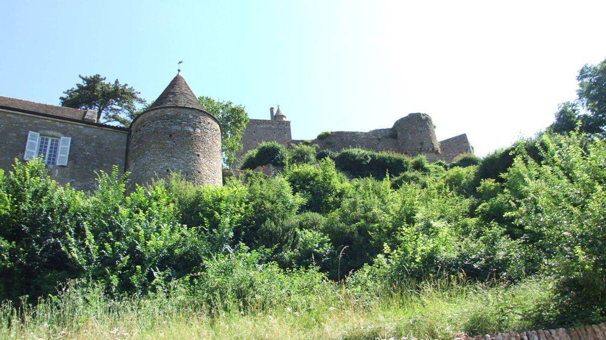 Château de Brancion