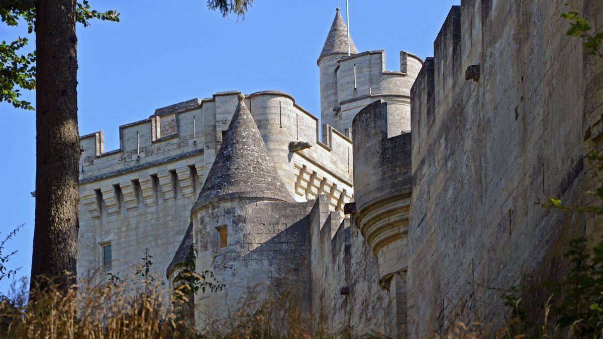 Donjon de Vez
