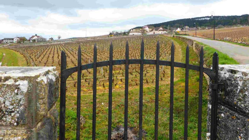 Vignes de Volnay